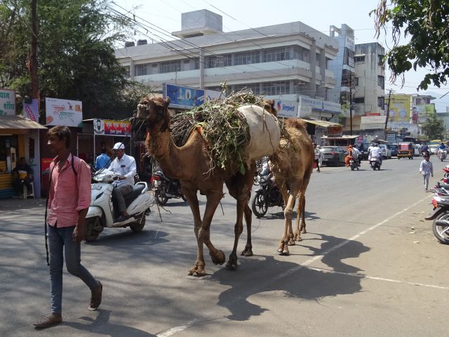 Satara